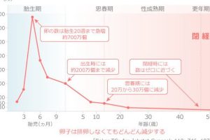 女性が子供を産めるのは何歳まで?出産の適齢期と年齢別のリスクを徹底解説 239 女性が子供を産めるのは何歳まで?出産の適齢期と年齢別のリスクを徹底解説