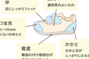 子供の足の成長スピードを理解する: 発育の特徴と適切な靴選びのポイント 92 子供の足の成長スピードを理解する: 発育の特徴と適切な靴選びのポイント