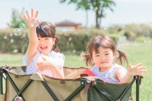 発達障害の子供が示すあまのじゃく行動の理解と対応方法 95 発達障害の子供が示すあまのじゃく行動の理解と対応方法