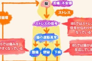 過敏性腸症候群の子供における検査方法とその重要性: 過敏 性 腸 症候群 子供 検査の全て 159 過敏性腸症候群の子供における検査方法とその重要性: 過敏 性 腸 症候群 子供 検査の全て