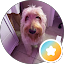 shayla gomez