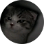 Taisa